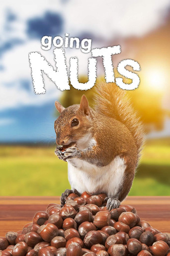 Going Nuts: Tales from the Squirrel World 2019