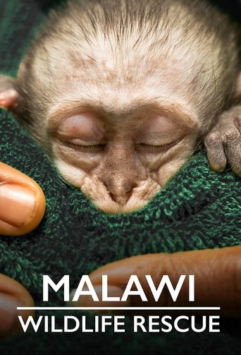Malawi Wildlife Rescue 2021