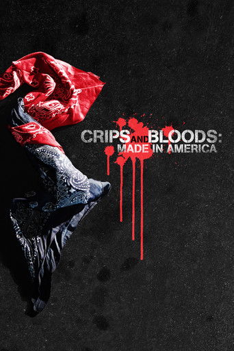 Crips and Bloods: Made in America 2009