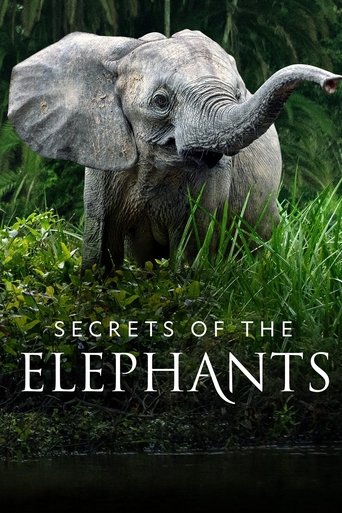 Secrets of the Elephants 2023