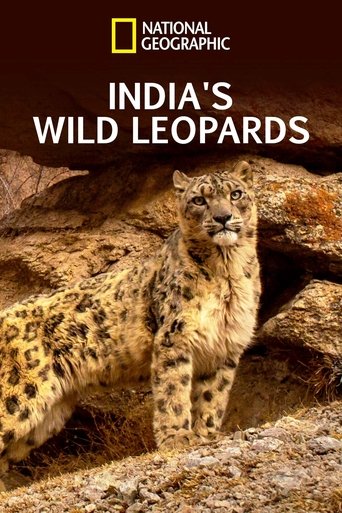 India's Wild Leopards 2020