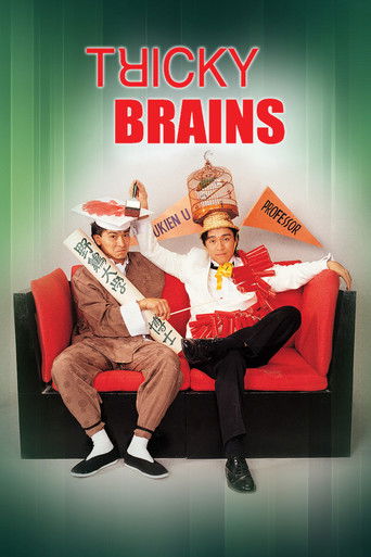Tricky Brains 1991