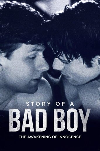 Story of a Bad Boy 2001