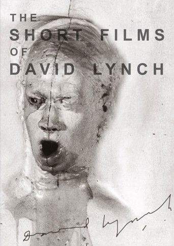 The Short Films of David Lynch 2002