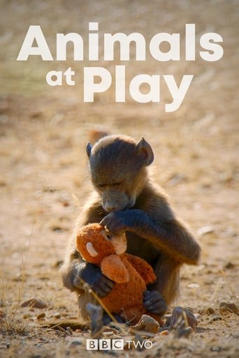 Animals at Play 2019