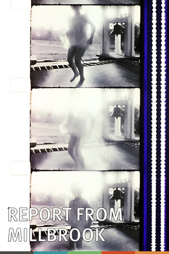 Report from Millbrook 1966