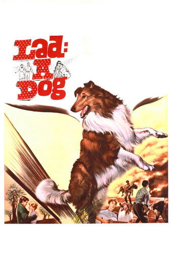 Lad: A Dog 1962