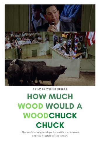 How Much Wood Would a Woodchuck Chuck 1976