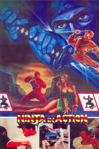 Ninja in Action 1987