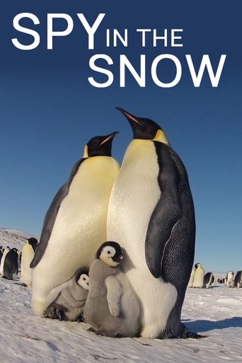 Spy in the Snow 2018