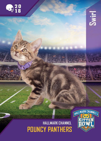 Kitten Bowl VIII Special 2021