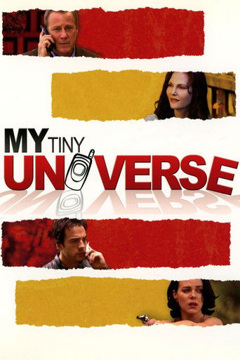 My Tiny Universe 2004