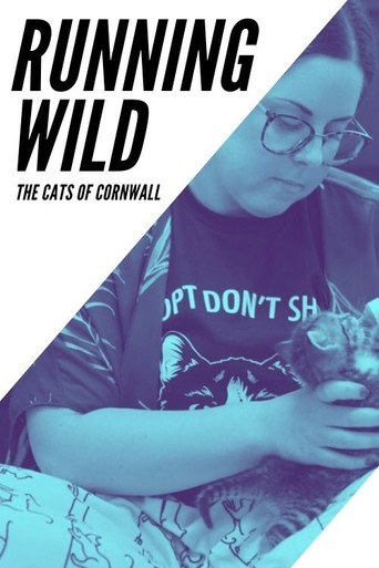 Running Wild: The Cats of Cornwall 2020