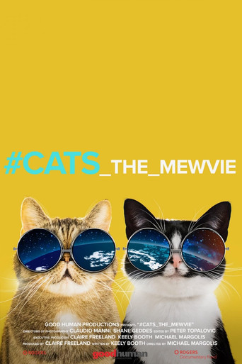 #cats_the_mewvie 2020