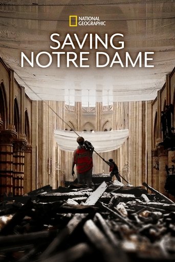 Saving Notre Dame 2020