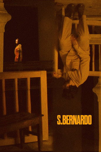 Saint Bernard 1972