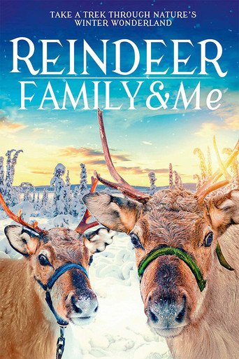 Reindeer Family & Me 2017