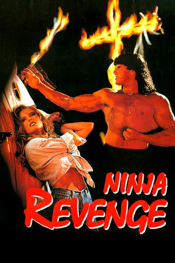 Ninja Vengeance 1993