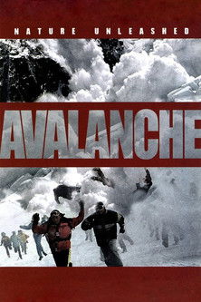 Nature Unleashed:  Avalanche 2004