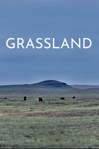Grassland 2023