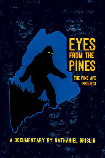 Eyes from the Pines 2021