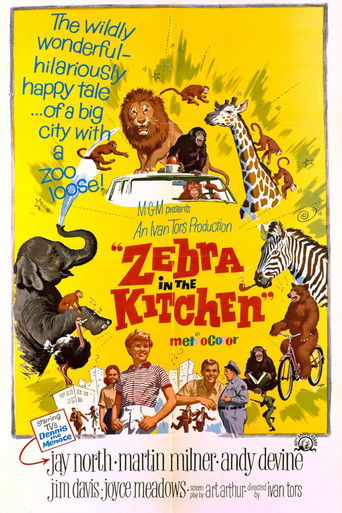 Zebra in the Kitchen 1965