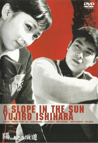 A Slope in the Sun 1958