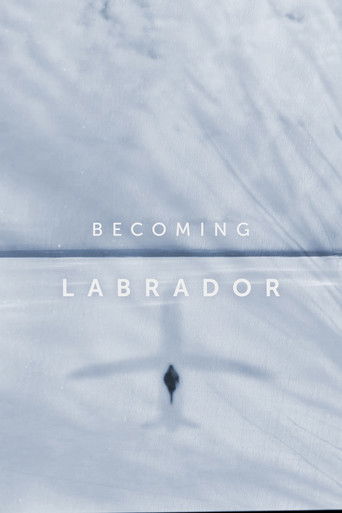 Becoming Labrador 2019