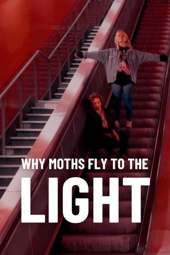 Why Moths Fly to the Light? 2020