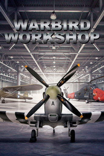 Warbird Workshop 2020