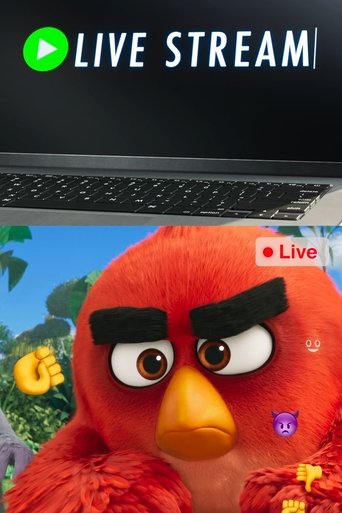 Angry Birds: Live Stream 2019