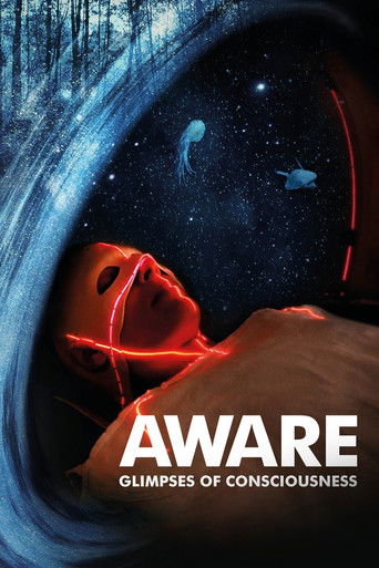 Aware: Glimpses of Consciousness 2021