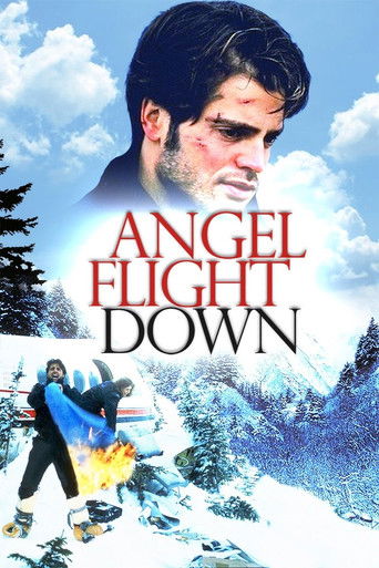 Angel Flight Down 1996