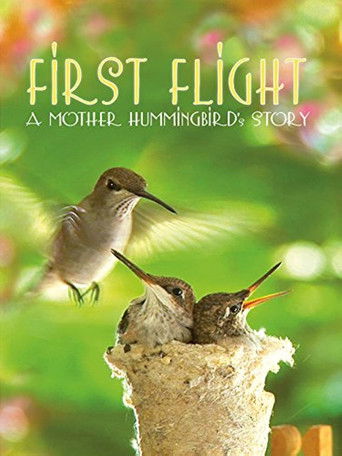 First Flight: A Mother Hummingbird's Story 2009