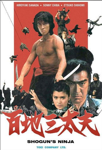 Shogun's Ninja 1980