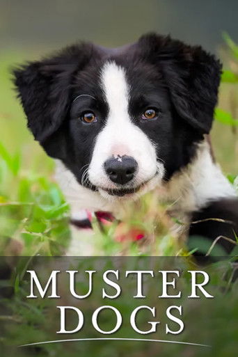 Muster Dogs 2022