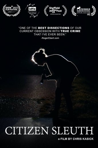 Citizen Sleuth 2023