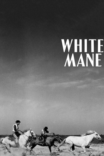 White Mane 1953