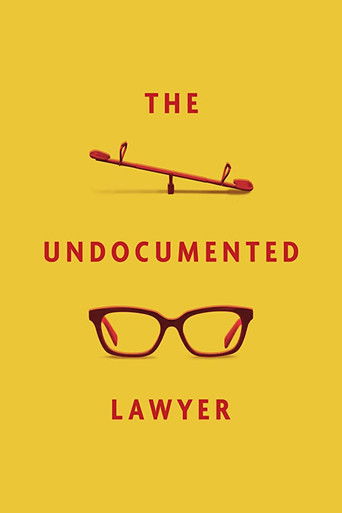 The Undocumented Lawyer 2020