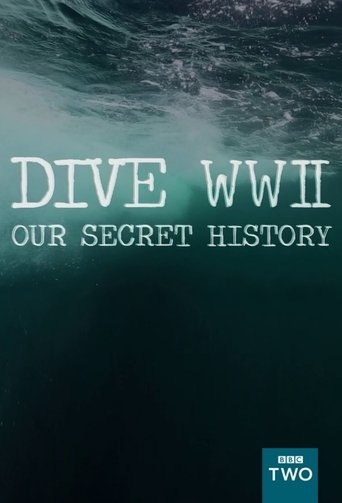 Dive WWII: Our Secret History 2013