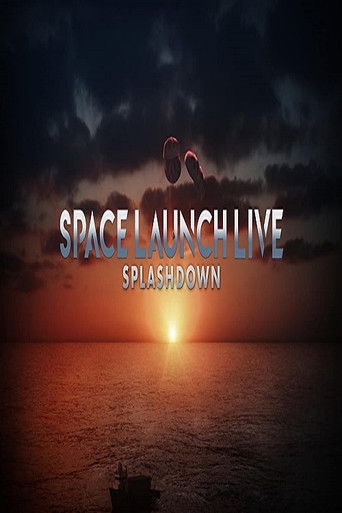 Space Launch Live: Splashdown 2020
