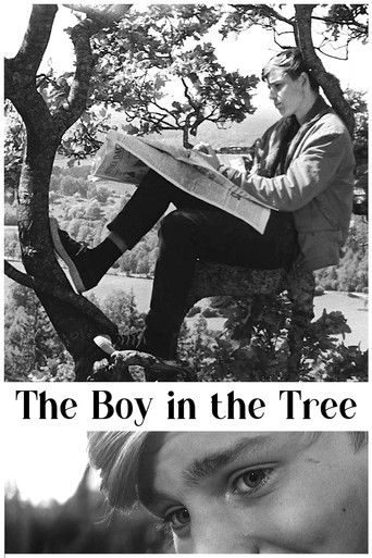 The Boy in the Tree 1961
