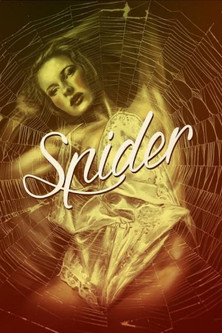 Spider 1992