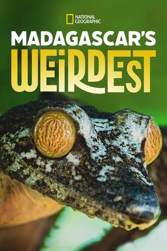 Madagascar Weirdest 2020