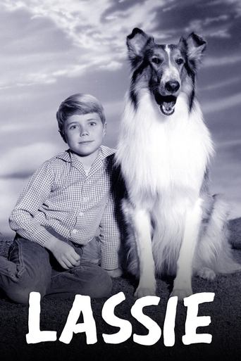 Lassie 1954