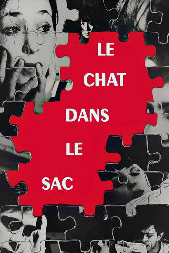 The Cat in the Bag 1964