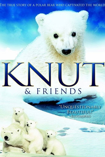 Knut & Friends 2008