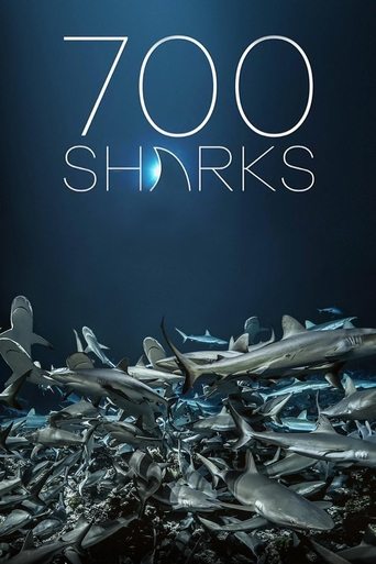 700 Sharks 2018