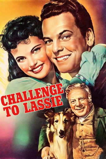Challenge to Lassie 1949