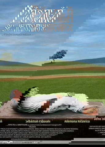 Păcală se întoarce 2006